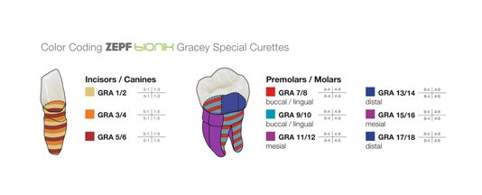 Kit de Curetas Gracey Zepf 5 Curetas + Cassete