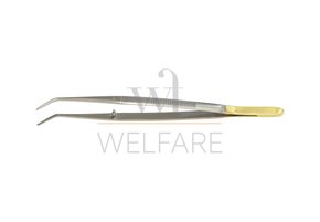 Pinça Clínica College Schwert Diamantada